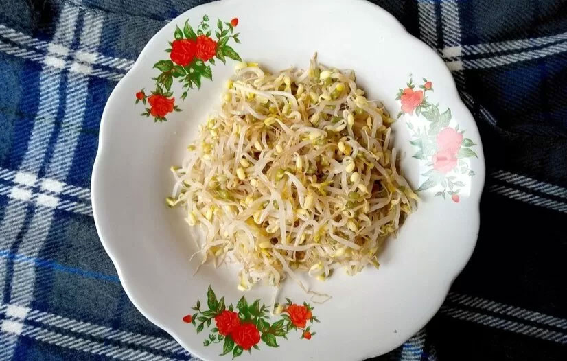 Kecambah, disebut juga sebagai taoge, adalah salah satu makanan super yang sering kali terlupakan di antara banyaknya pilihan sayuran yang ada.