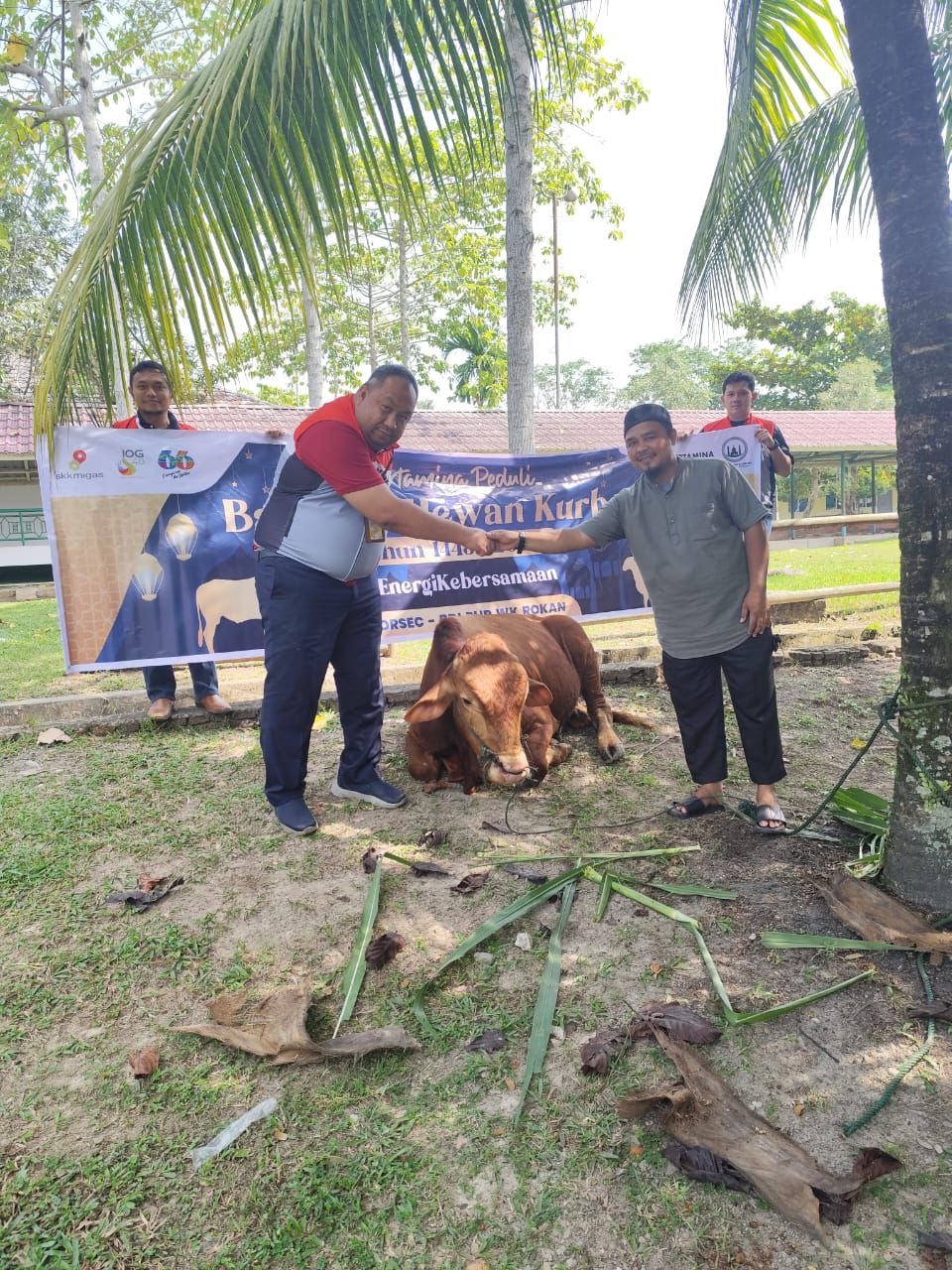 Manager ECSR South PT Pertamina Hulu Rokan (PHR) Wan Dedi Yudisthira saat menyerahkan sapi qurban PHR WK ROkan kepada masyarakat Rumbai, Riau.