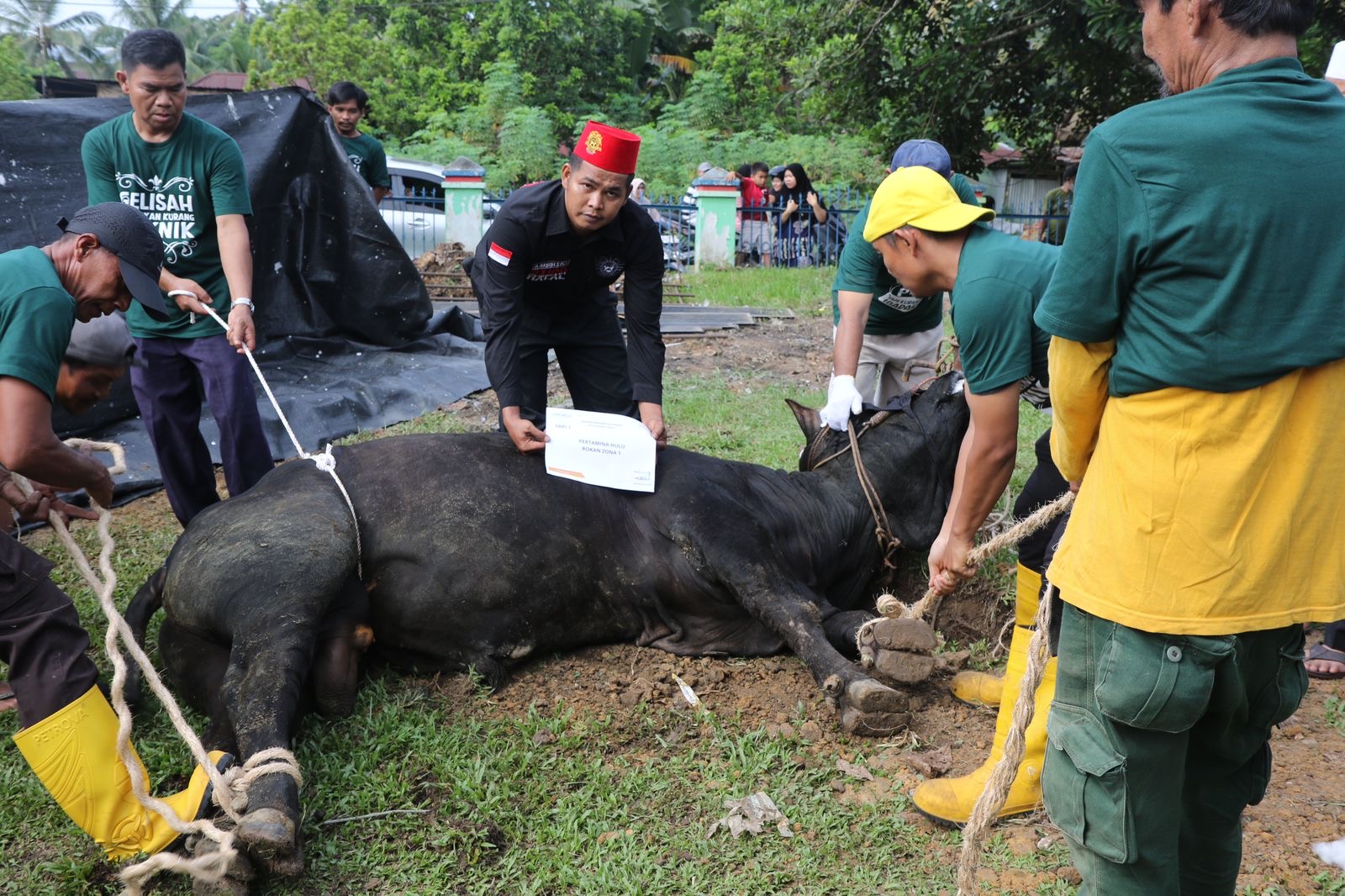Pertamina Hulu Rokan (PHR) Regional Sumatera menyalurkan 514 ekor hewan kurban di seluruh wilayah kerja (WK) di Hari Raya Idul Adha 1445 H. Paket daging kurban dibagikan kepada masyarakat.