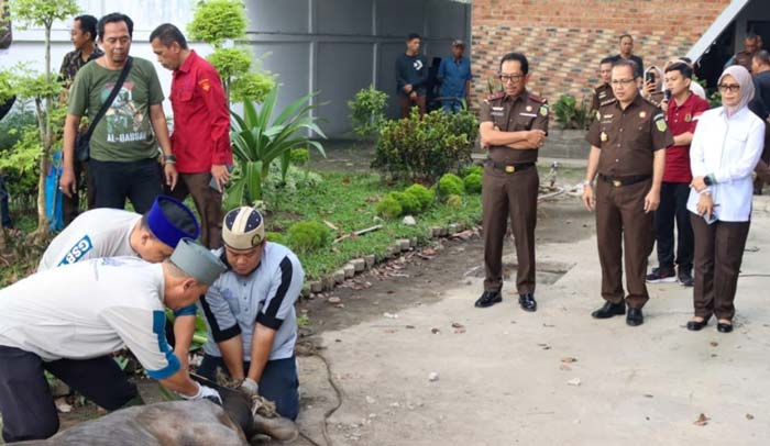 Kepala Kejaksaan Tinggi (Kajati) Riau Akmal Abbas saat menyaksikan pemotongan hewan kurban,  Rabu (19/6/2024).