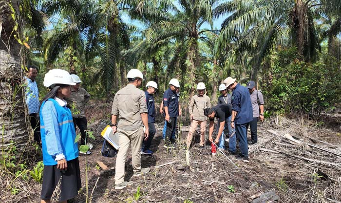 Tim PLN dan Kementerian ESDM meninjau jalur ROW SUTT 150 kV Pakning-Siak Tahap 1.