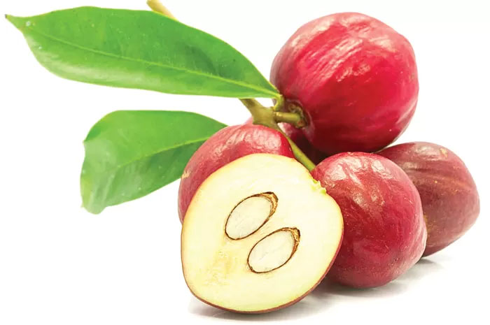 Buah mahkota dewa. Buah mahkota dewa. (Home Studios)