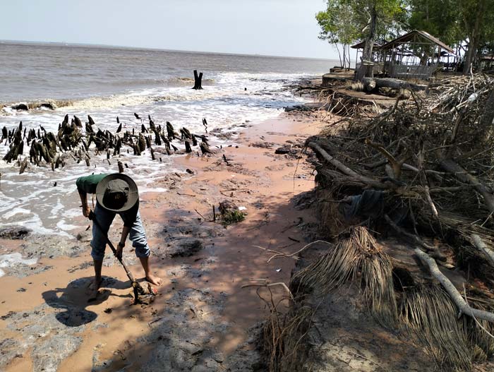 Daerah pesisir pantai di Dumai masih diterpa abrasi. Seperti yang terjadi di wilayah Kecamatan Medang Kampai, baru-baru ini.