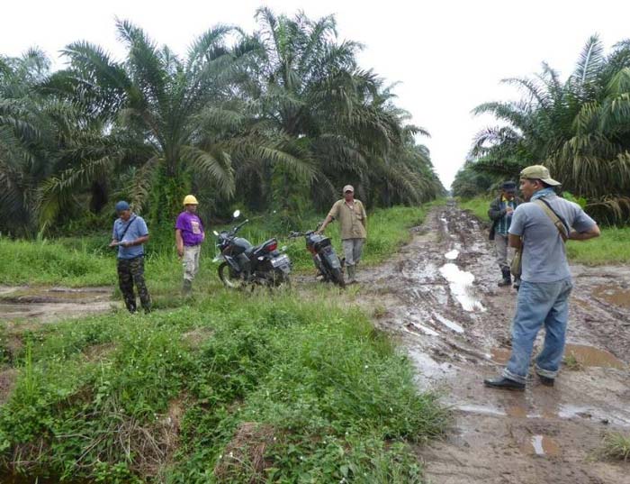 Kondisi infrastruktur jalan di Desa Sokoi, Kecamatan Kuala Kampar, Pelalawan masih belum tersentuh program pembangunan.