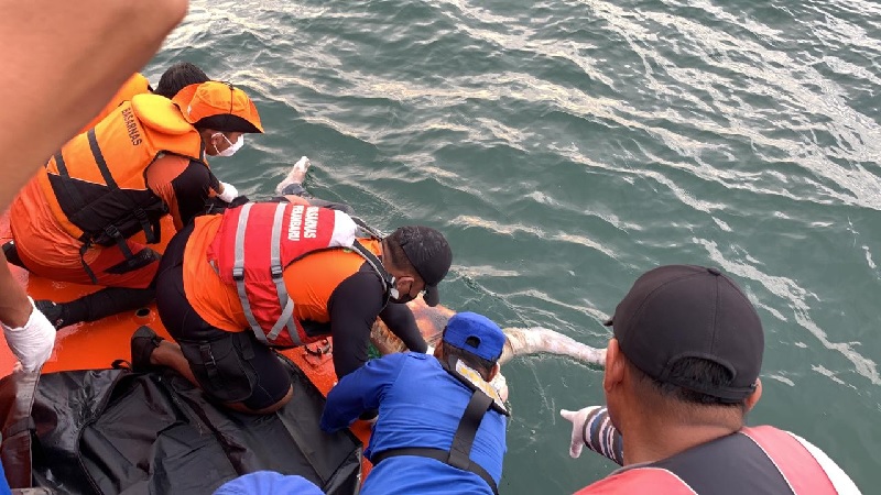 Korban terjatuh dari Kapal MV CAS di perairan Selat Malaka berhasil ditemukan Tim SAR Gabungan, Kamis (27/6/2024) sore.