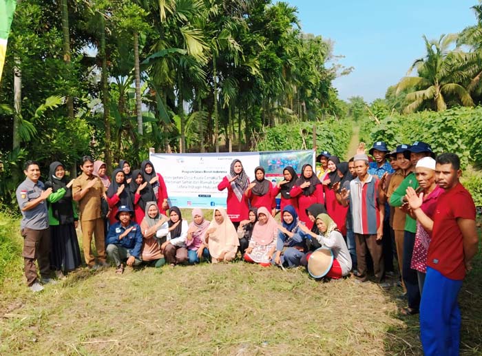 Kelompok tani Berkah Mandiri di Desa Kuala Cenaku, Kecamatan Kuala Cenaku usai melakukan panen mentimun dengan menggunakan metode mulsa tanpa olah tanah (M-TOT).