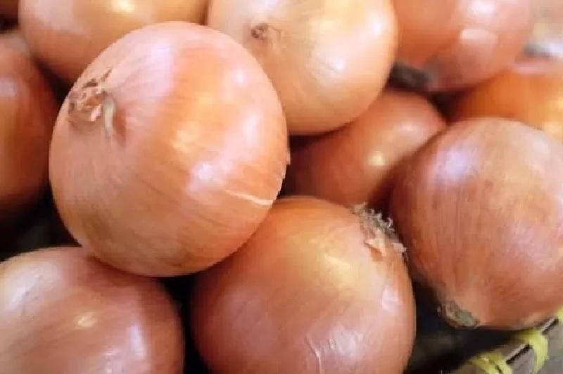 Ilustrasi komoditas bawang bombai, harga bawang bombai sempat meroket akibat pasokan yang menipis di dalam negeri.