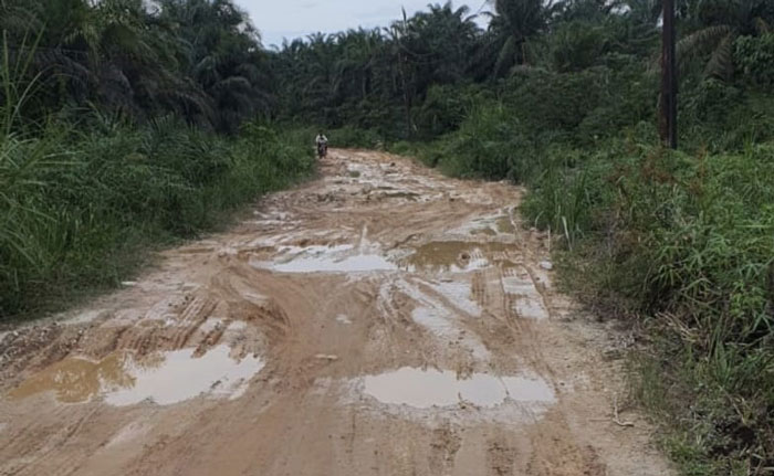 jalan: Kondisi Jalan Usaha Tani yang menghubungkan Kelurahan Mekar Sari dengan Kelurahan Bagan Keladi, sulit dilintasi kendaraan, terutama di saat musim penghujan, Ahad (7/7/2024).