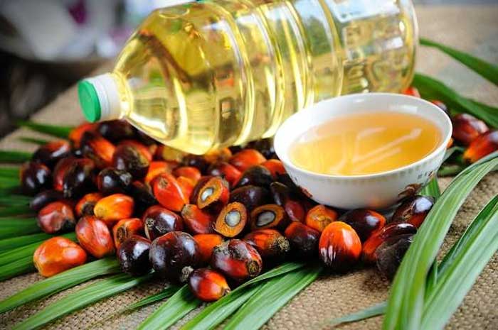 Buah sawit dan hasil turunannya diantaranya minyak makan.