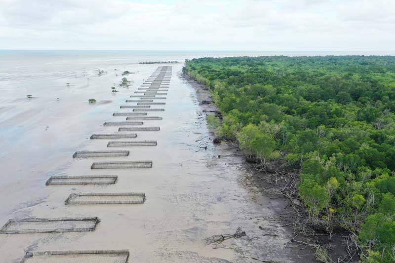 Yayasan Konservasi Alam Nusantara bersama Kelompok Pengelola Mangrove (KPM) Desa Teluk Pambang, Kecamatan Bantan.