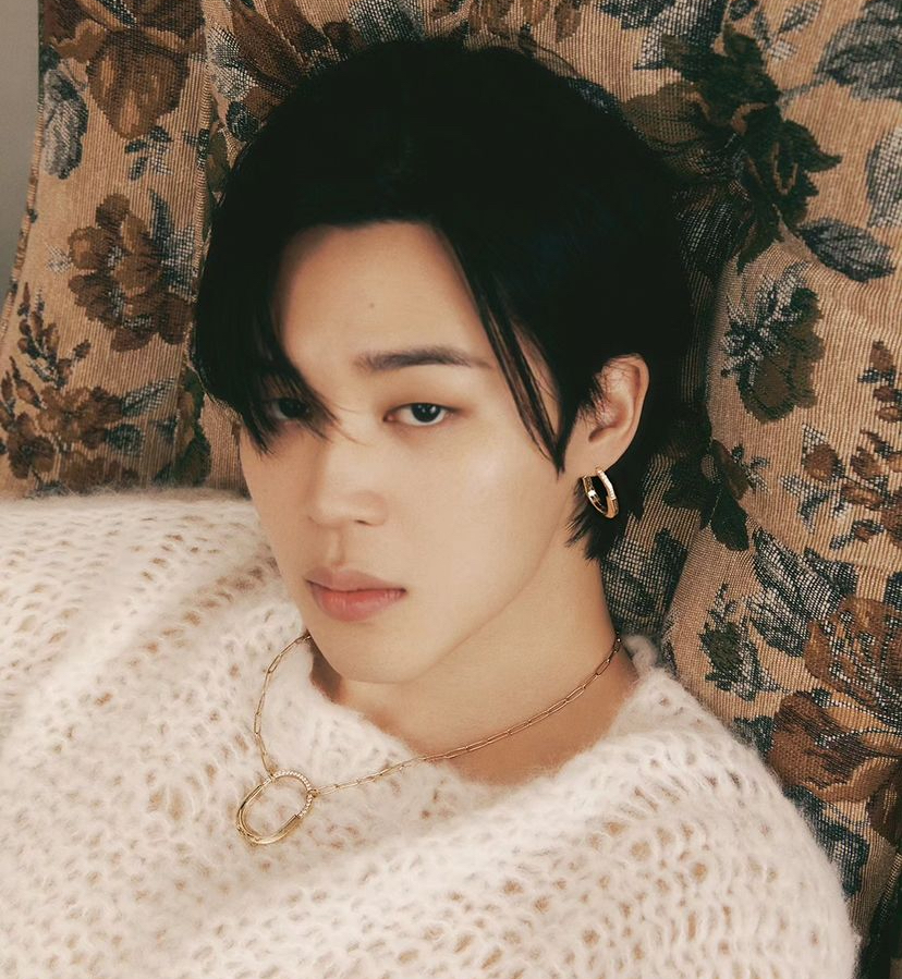 JIMIN BTS