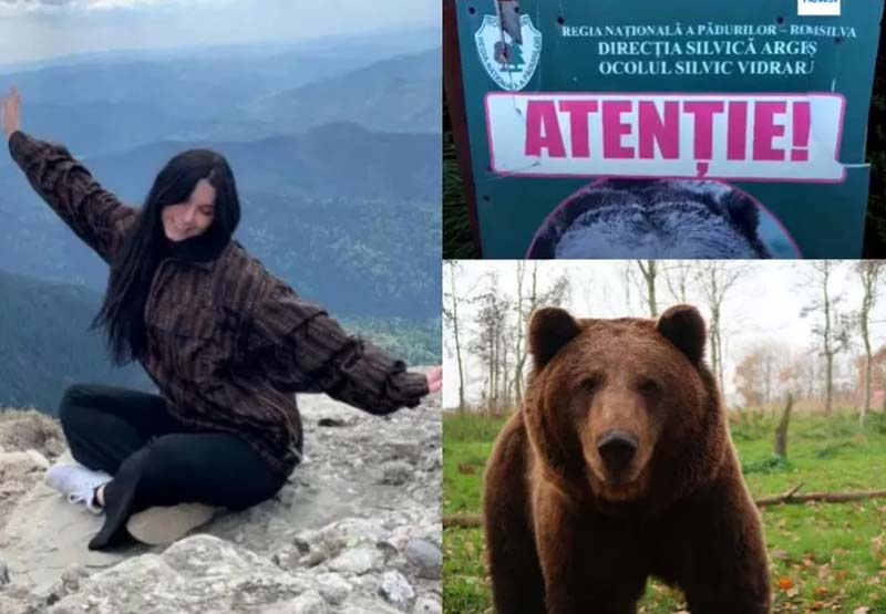Maria Diana diserang beruang saat sedang mendaki gunung Bucegi bersama pacarnya di Rumania.