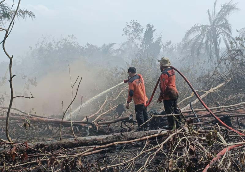 Personel satgas gabungan karhutla melakukan proses pendinginan terhadap lahan yang terbakar di Km 3 Dayun, Kecamatan Dayun, Kabupaten Siak, Ahad (21/7/2024).