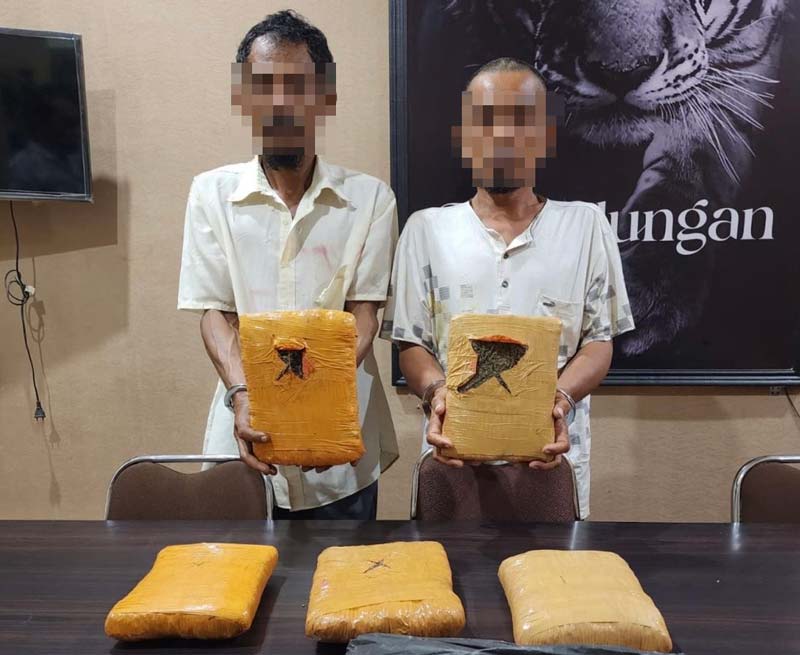 Dua tersangka 5 Kg ganja yang diamankan Polsek Bagan Sinembah, baru-baru ini.