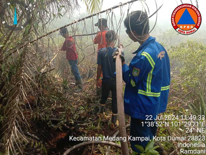 Satgas Karhutla, Senin (22/7/2024) melakukan pemadaman dan pendinginan terhadap lahan yang terbakar di Kelurahan Mundam, Kecamatan Medang Kampai.