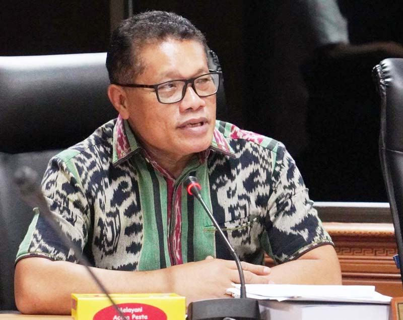 Ketua Pansus RTRW DPRD Provinsi Riau Robin P Hutagalung saat memimpin rapat dengar pendapat di Pekanbaru, baru-baru ini.