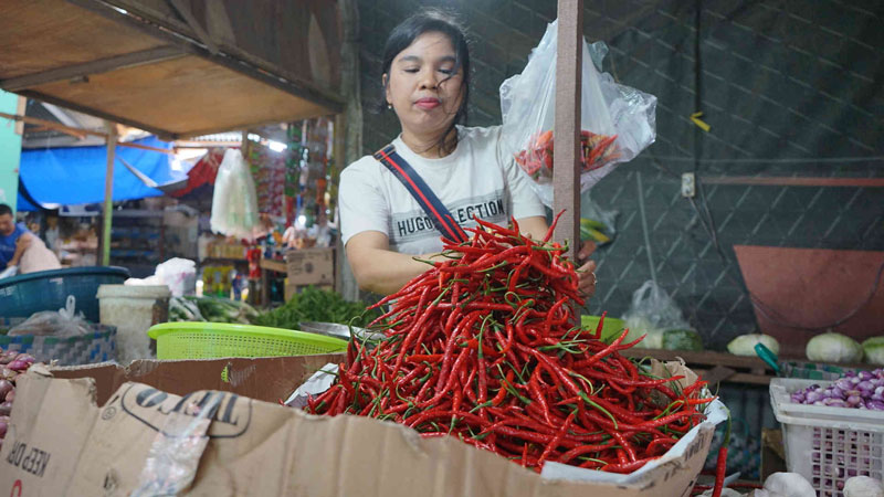 Pedagang menyusun cabai yang dijual di Pasar Cik Puan Pekanbaru, Ahad (28/7/2024).