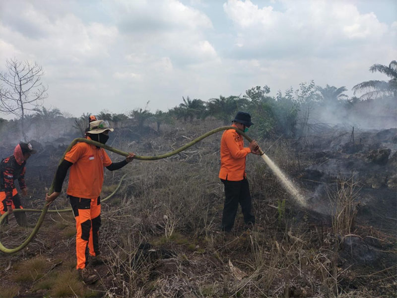 Kalaksa BPBD Pelalawan, Zulfan SPi MSi melakukan pendinginan api dampak kahutla di Desa Pangkalan Gondai Kecamatan Langgam yang masih belum padam total akibat hujan deras turun tidak merata