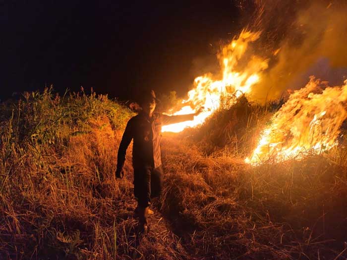 Kondisi saat kejadian karhutla di salah satu kecamatan di Rohil beberapa waktu lalu.