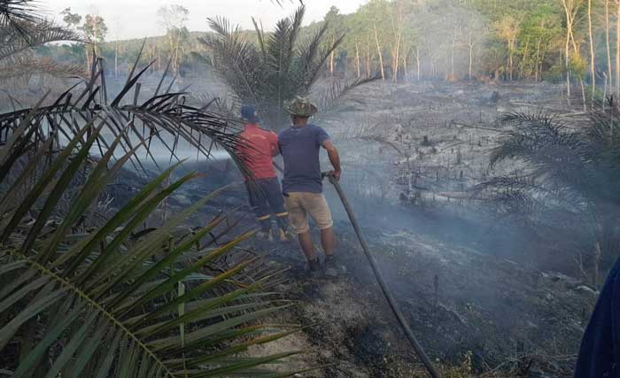 Tim Karhutla melakukan pemadaman kebakaran lahan di Desa Bandar Padang Kecamatan Seberida, Senin (5/8/2024).