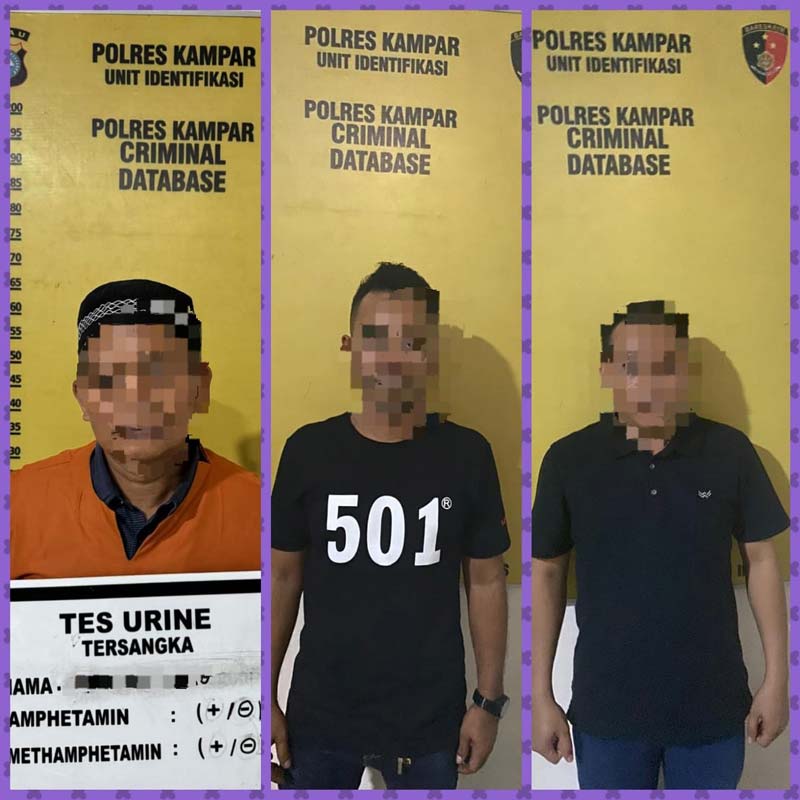 Tiga tersangka penipuan pembelian kebun sawit senilai Rp1,1 miliar ditangkap Satreskrim Polres Kampar, Selasa (6/8/2024).