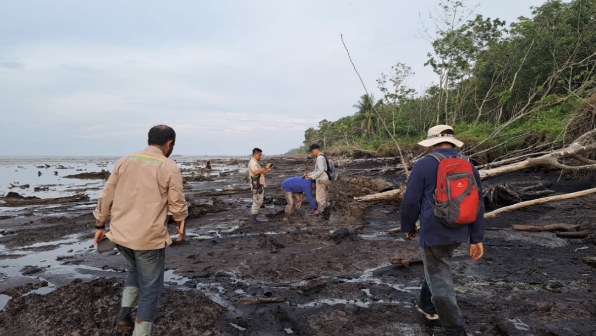 Kegiatan penelitian PUI Gambut dan Kebencanaan LPPM Unri tentang bencana abrasi pesisir gambut di Pulau Bengkalis, Riau, beberapa waktu lalu.