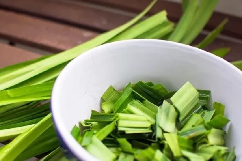 Daun pandan. Minum air daun pandan ternyata memiliki manfaat bagi kesehatan.