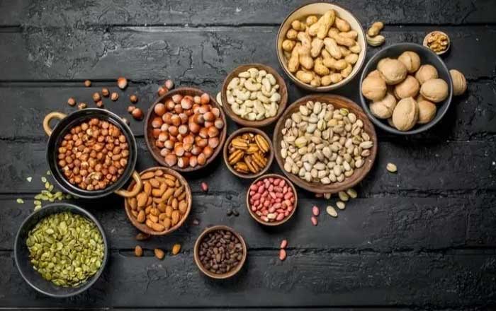Ilustrasi kacang-kacangan jenis legumes dan nuts yang kaya akan protein nabati.