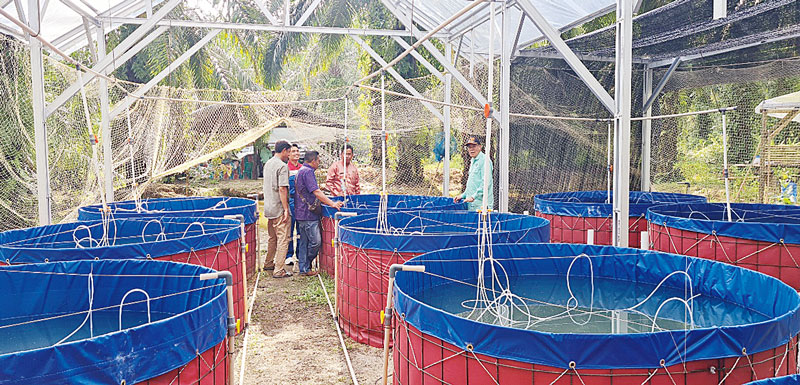 HASIL USAHA: Hasil usaha Kelompok Bangko Jaya Sejahtera (BJS) binaan PHR dan Fakultas Perikanan dan Kelautan (FPK) Universitas Riau (Unri), baru-baru ini.