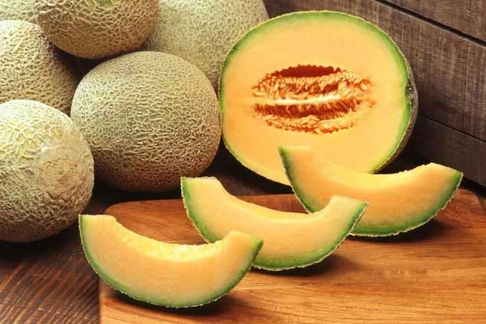 Ilustrasi buah melon.