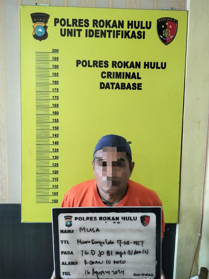 Kakek inisial MS, Warga Desa Cipang Kiri Hilir, Kecamatan Rokan IV Koto diamankan Satreskrim Polres Rohul, Jumat (16/8/2024).
