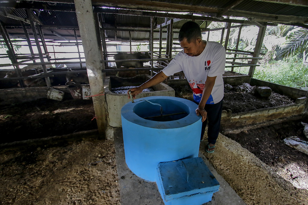 REAKTOR BIOGAS : Sudarman mengaduk kotoran sapi limbah peternakan sapi miliknya setelah dimasukan kedalam reaktor yang nantinya akan menghasilkan energi biogas di Desa Muktisari, Tapung, Kampar, Riau, Sabtu (6/7/2024)