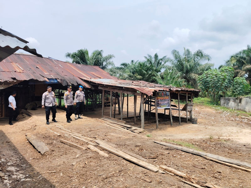 Polsek Kamparkiri Hilir menindak dua sawmill di Desa Simalinyang, Kecamatan Kamparkiri Tengah,  Senin (26/8/2024).