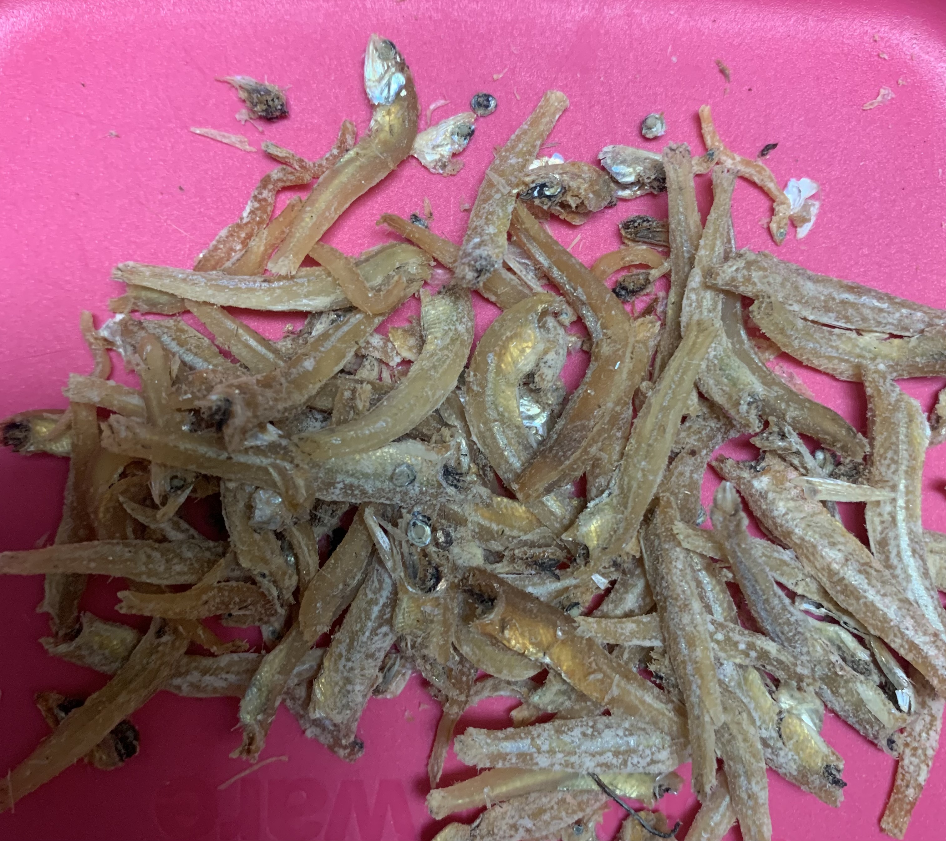 IKAN TERI