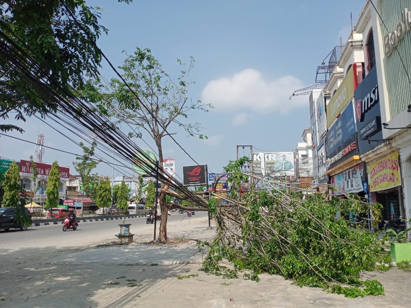 Pohon di pinggir Jalan Tuanku Tambusai tumbang dan menimpa kabel listrik, Ahad (1/9/2024).