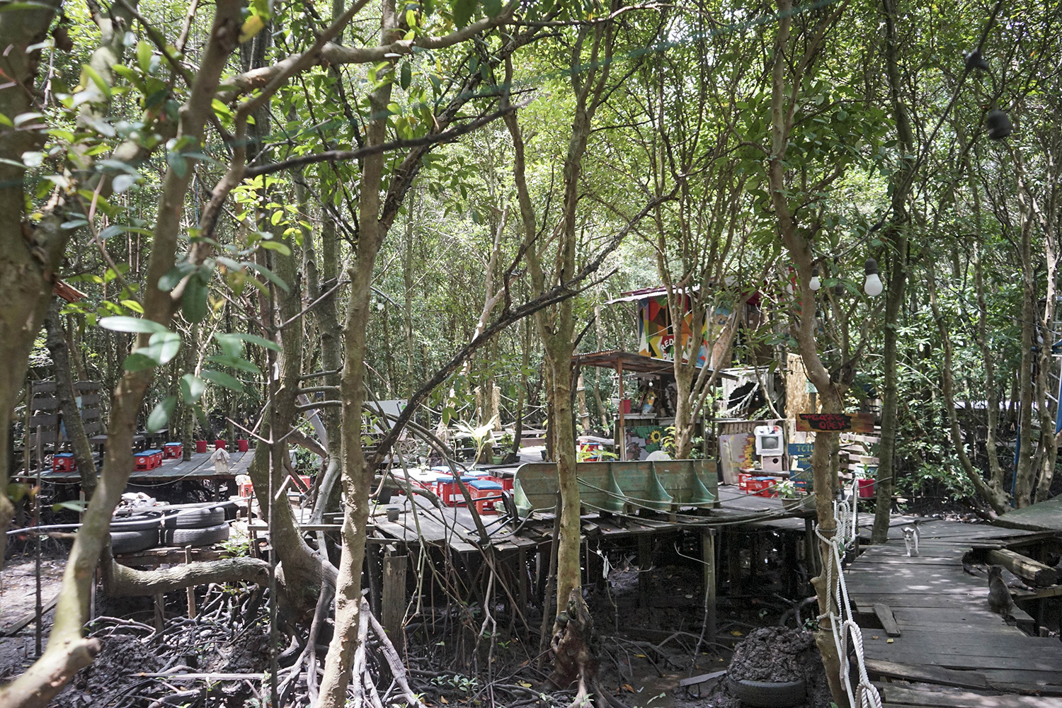 Suasana Cafe Redam Piloe yang menenangkan berada di Hutan Bandar Bakau, di kawasan Hutan Bandar Bakau Dumai Jalan Nelayan Laut Ujung, Kelurahan Pangkalan Sesai, Kecamatan Dumai Barat, Kota Dumai, Riau, Senin (26/8/2024).