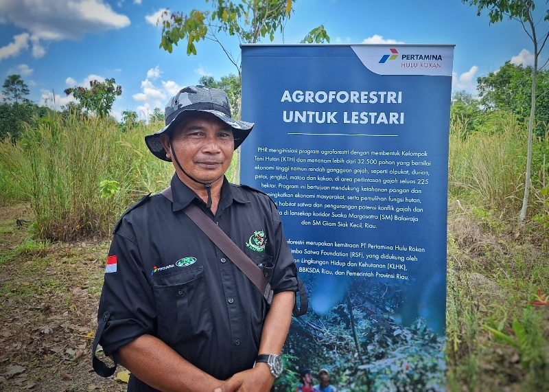 Suparto warga Desa Pinggir, Kecamatan Pinggir, Kabupaten Bengkalis penerima program agroforestri PT PHR.