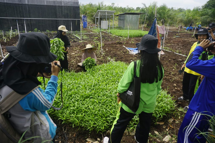 Sejumlah siswa saat sesi praktik pelatihan fotografi jurnalistik bertempat di Pertanian Hortikultura Lahan Gambut Kelompok Tani Maju Jaya Bersama.