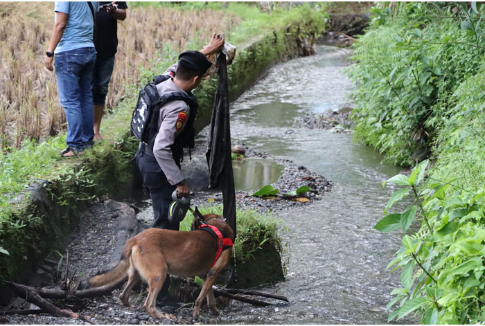 Petugas menyisir lokasi ditemukannya Nia yang terkubur di tanah dengan menggunakan anjing pelacak.
