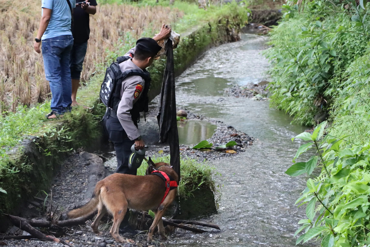 Anjing pelacak dikerahkan ke lokasi penemuan jasad gadis penjual gorengan, Nia Kurnia Sari, yang ditemukan terkubur di 2x11 Kayu Tanam, Padangpariaman, Sumbar.