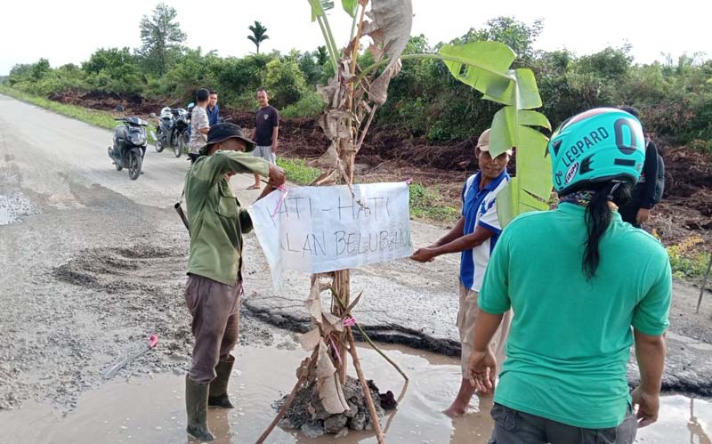 Warga menanam pohon pisang di Jalan Lintas KITB-Sungai Rawa, Kecamatan Sungai Apit, Kabupaten Siak, Kamis (12/9/2024).