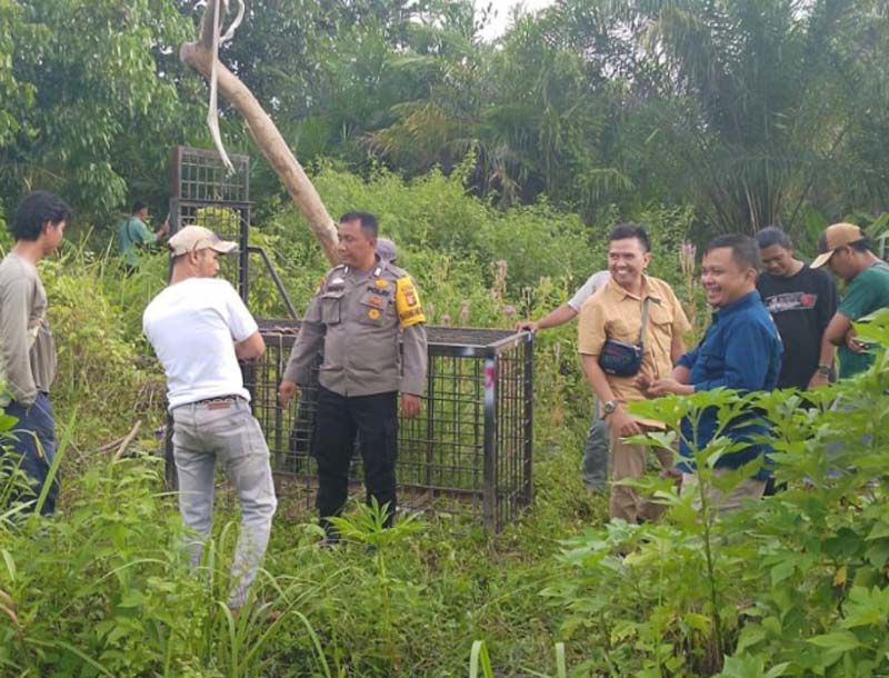 Tim BBKSDA Riau bersama petugas polisi memasang perangkap di lokasi jejak beruang madu yang muncul di permukiman warga.