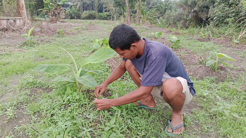 Priyanto salah satu penerima manfaat program pisang barangan sekaligus Anggota Kelompok Tani Maju Makmur.
