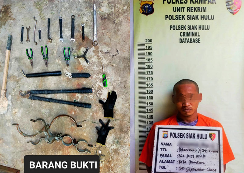 Jajaran Polsek Siak Hulu mengamankan pelaku kasus tindak pidana percobaan pencurian trafo distribusi PLN di Jalan Lintas Timur, Dusun Pematang Kayu Arang, Desa Pangkalan Baru, Kecamatan Siak Hulu,