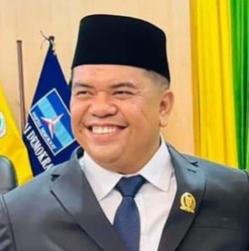Ketua DPRD Inhu sementara, Sabtu Pradansyah Sinurat.