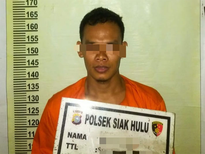 Jajaran Polsek Siak Hulu menangkap diduga pelaku pencabulan terhadap anak bawah umur (ABG), Ahad (22/9/2024).