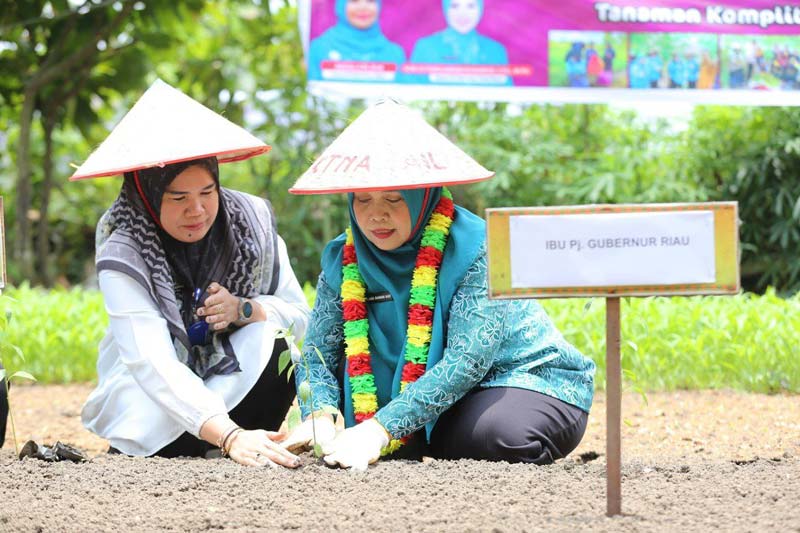 Pj Ketua TP PKK Riau Zuliana menanam bibit cabai di wilayah Kecamatan Sail, Jalan Thamrin, Pekanbaru, Rabu (25/9/2024).