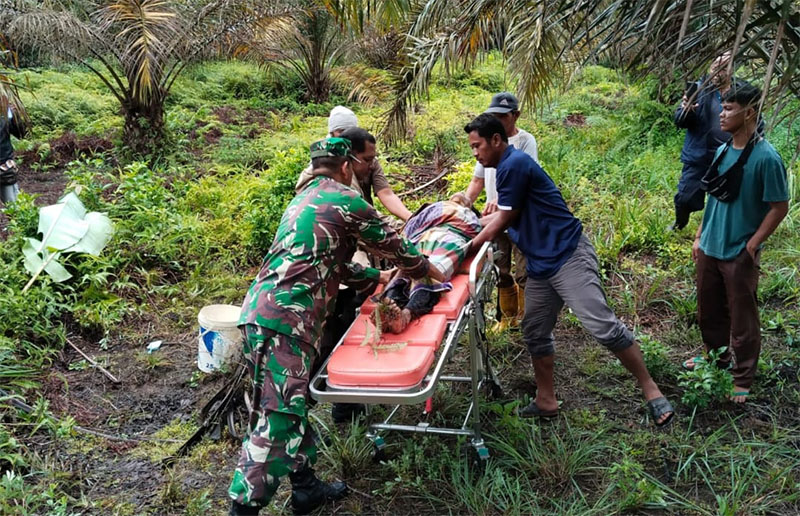 Warga bersama aparat saat mengevakuasi korban di dalam perkebunan PT Tama Jaya Dusun 2 Desa Karya Indah, Kecamatan Tapung, Kabupaten Kampar, Kamis (26/9/2024).
