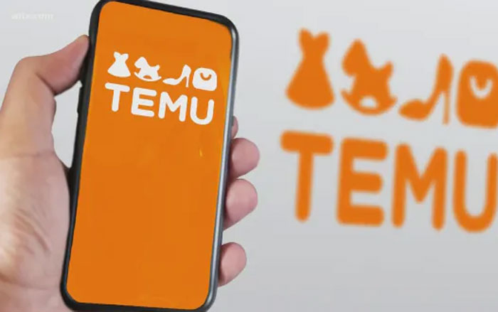 Ilustrasi: Aplikasi TEMU.