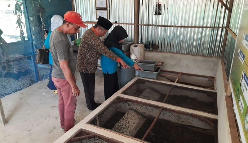 Budidaya maggot yang makanannya adalah sampah organik dan maggot berguna untuk pakan ternak alami bagi ayam dan ikan milik UMKM sekolah yang dikelola UKM Peternakan sekolah.